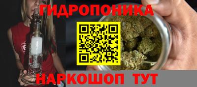 трава Бийск