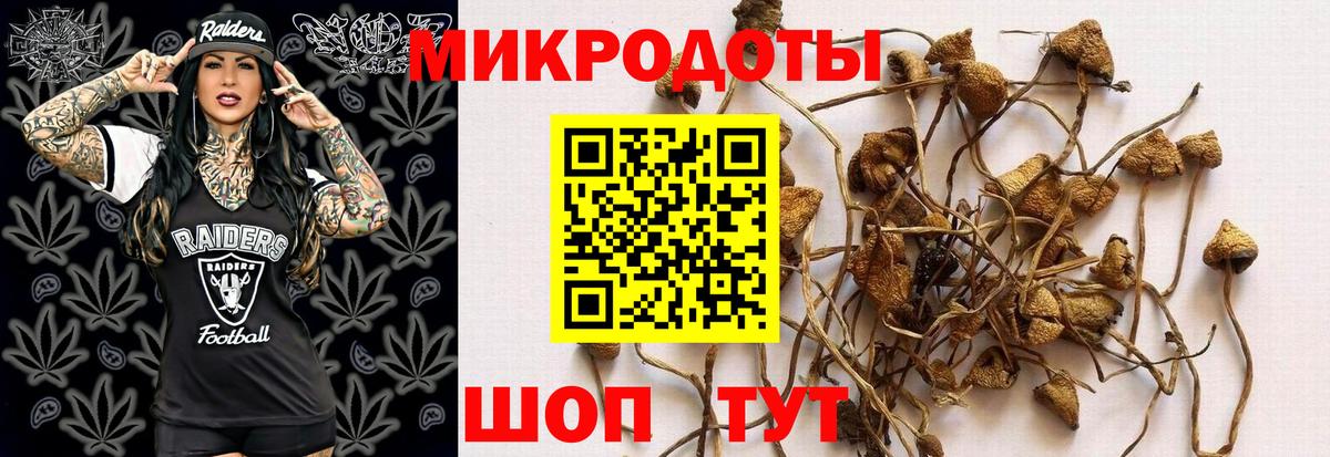 Галлюциногенные грибы Magic Shrooms Клин
