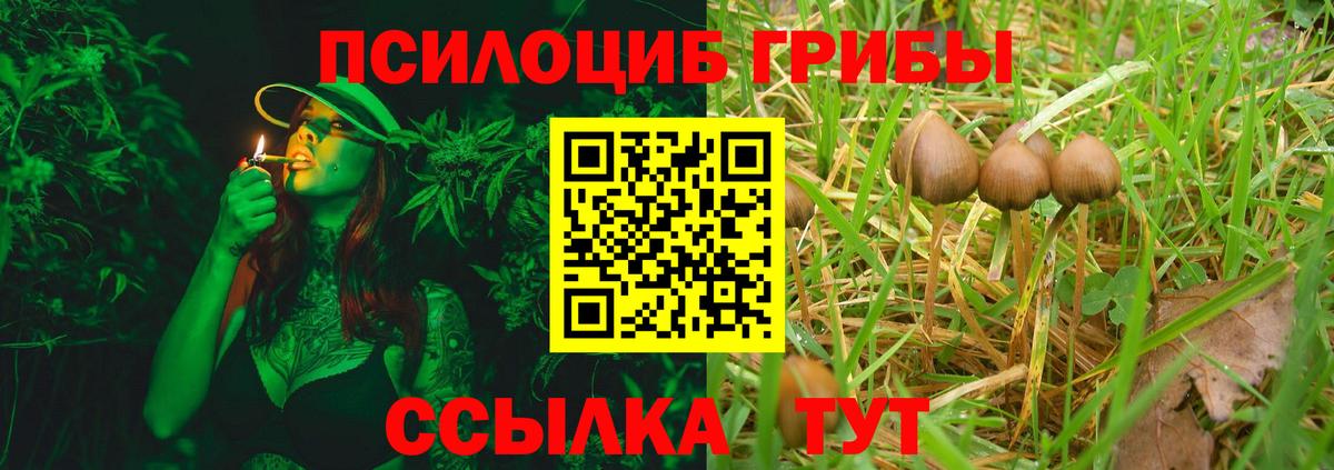 дарнет шоп  Галлюциногенные грибы Magic Shrooms  Вход с VPN  Клин 