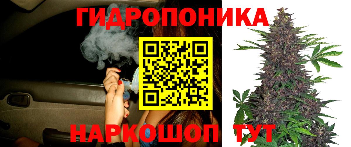 Клин  Каннабис план  Вход с VPN  Бошки Шишки AK-47  Канабис семена  Марихуана LSD WEED 